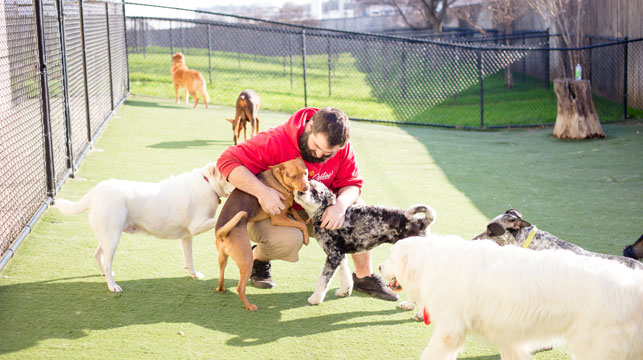 pet_facilities_img_1